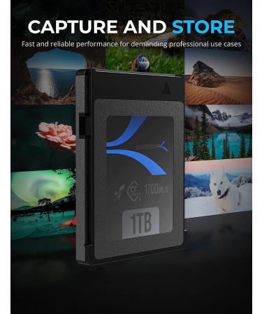 SABRENT Rocket CFX 1TB CFexpress Type B Memory Card R1700MB/s W1500MB/s (CF-XTBT-1TB) - Buy Online on GoSupps.com
