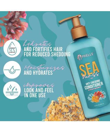 Mielle Organics Sea Moss Anti-Shedding Conditioner 8 Fl Oz - Stop Hair Shedding with Natural Ingredients - Buy Online on GoSupps.com