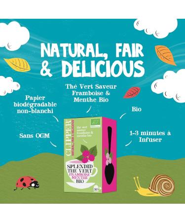 CLIPPER - Organic Green Tea - Splendid - Raspberry and Mint - 20 Organic Tea Bags - 1 pack - 35g - Buy Online on GoSupps.com
