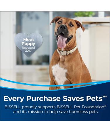 Buy BISSELL Multi-Surface Pet Cleaner with Citrus - 64oz Lemon Eucalyptus | Effective International Shipping - Buy Online on GoSupps.com
