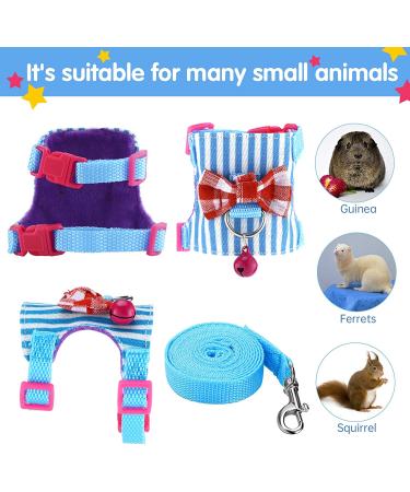 2-Piece Small Animal Harness and Leash Set for Walking - Comfort Padded Vest for Guinea Pig, Hamster, Ferret - S Blue/Black - Buy Online on GoSupps.com