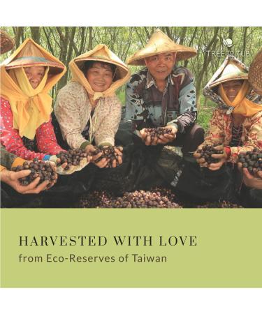 Tree To Tub Lavender Body Wash for Sensitive & Dry Skin - pH Balanced Moisturizing Vegan Soap with Organic Shea Butter & Aloe Vera - 2 Pack - Buy Online on GoSupps.com