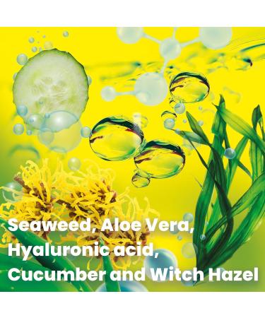 bleu & marine Bretania - Collagen & Algae Gentle Tonic Lotion | Marine Vitamins & Minerals Infused | Anti-oxidant | Purifying & Tightening | Nourishing & Moisturizing | Non-Alcoholic 200 ml - Buy Online on GoSupps.com