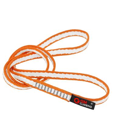 GM CLIMBING 1 inch MIL-W-5625 Nylon Tubular Webbing Milspecs 4000Lbs  Durable for Outdoor Tactical Parachute Climbing Rescue Survival Tie Down 1  inch x 30Ft / 10 Yards Tan 499 30Ft / 10 Yards
