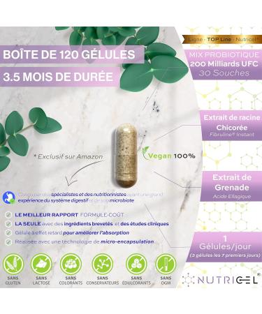 Probiotique flore intestinale - 200 Milliards UFC/Jour - 30 souches bact riennes 120 G lules Gastro-r sistantes. Probiotiques et prebiotique avec Zinc Inuline et Extrait de Grenade. 100% V gan - Buy Online on GoSupps.com