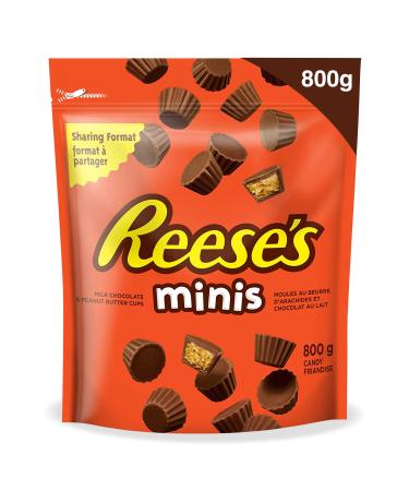 REESE'S Mini Peanut Butter Candy Holiday Candy Reese's Candy Mini Candy Bulk Candy to Share Good for Kids Candy 800g 800 g (Pack of 1)