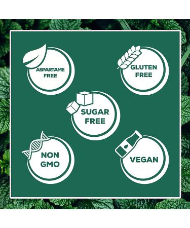 Xyloburst Xylitol Chewing Gum - Spearmint Flavor (150g, 100 Pieces) - Sugar-Free, Dental Health - Buy Online on GoSupps.com