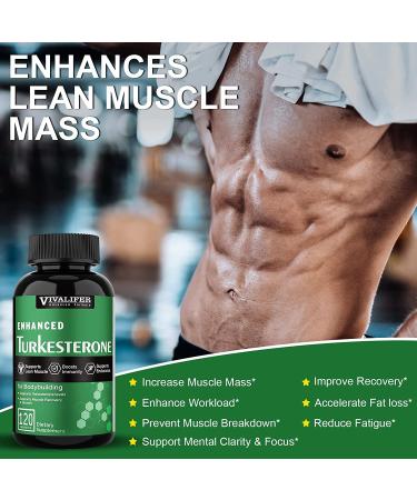 Turkesterone 1000mg Muscle Building & Mood Boost Supplement - 2 Pack, 240 Vegan Capsules, Male Strength Enhancer & Immune Support - Buy Online on GoSupps.com
