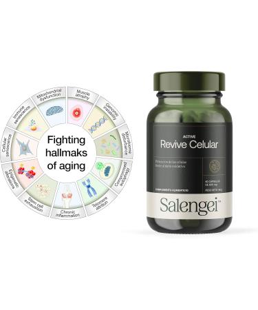 Salengei ACTIVE REVIVE CELULAR 60cap is a dietary supplement in easytoswallow capsules When used consistently it supports normal body functions The package contains 60 capsules - Buy Online on GoSupps.com