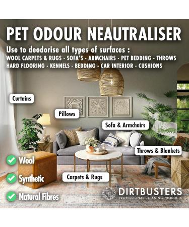 Dirtbusters Pet Odour Eliminator Spray - Enzymatic Deodoriser Wild Fig & Cassis 500ml - Buy Online on GoSupps.com