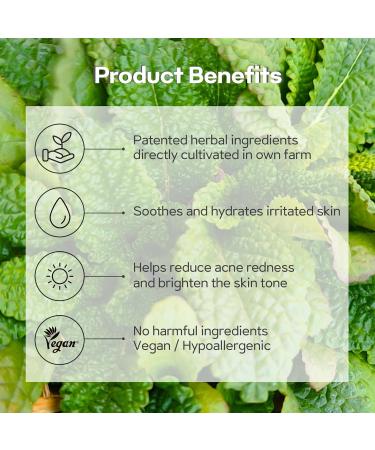 Buy Green Salvia Gentle Feminine Wash - Vegan pH-Balanced Daily Care for Intimate Area - Moisturizing & Fragrance-Free - Buy Online on GoSupps.com