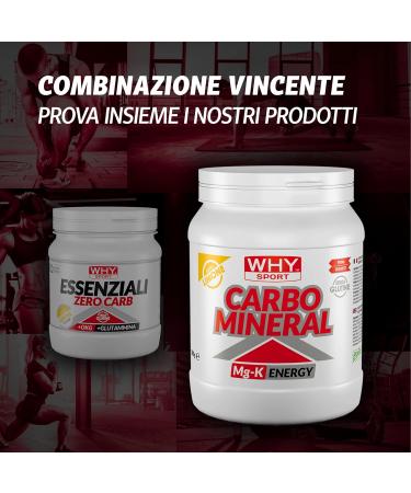  WHY SPORT WHY SPORT ESSENTIALS ZERO CARB - Essential Amino Acids with Vitamin B6 and Glutamine - Raspberry Flavor - 240g - Buy Online on GoSupps.com
