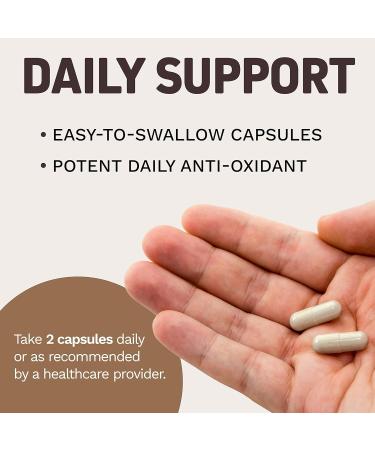 Herbtonics Multi Collagen Gummies Type 1 2 3 5 & 10 with Biotin for Hair Growth Skin Nails - Premium Ceylon Cinnamon Capsules - Effective Cinnamon Pills for Enhanced Well-Being - 1500mg Cinnamon Sup - Buy Online on GoSupps.com