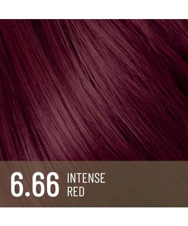 Alfaparf Milano Il Salone Plex Rebuilder Color Kit 6.66 Rouge Intense - coloration permanente en cr me - Buy Online on GoSupps.com
