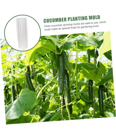 Happyyami 10 Pcs Vegetable Shaping Cucumbers Cucumber Styling Fruits Shaping Modeling Suite - Buy Online on GoSupps.com