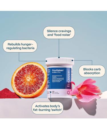Rejuveen Provitalean Metabolism Fuel for Women | Mute Cravings for Belly Fat & Resistant Waistlines | B420 Probiotic Morosil Chromium | Vegetarian Stimulant-Free Gluten-Free | 30 Ct - Buy Online on GoSupps.com