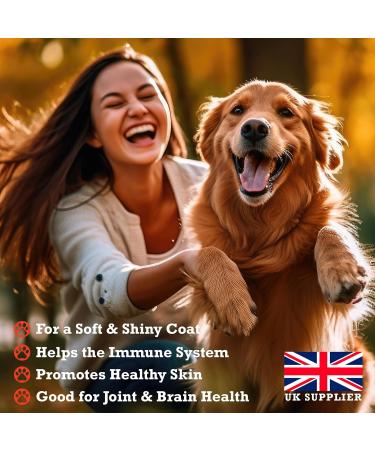 Scottish Salmon Oil for Dogs UK - 500ml | 100% Natural Omega 3, 6 & 9 Fish Oil | Dog Supplements - Canine Ketchup - Buy Online on GoSupps.com
