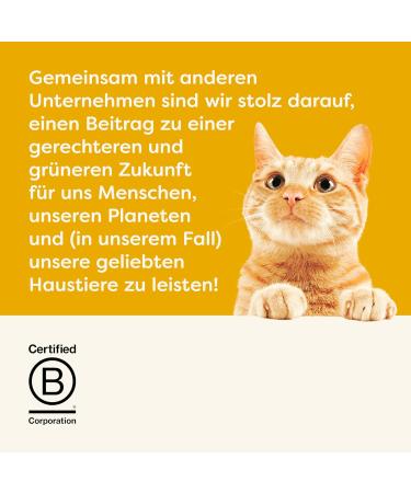 Applaws 100% Natural Wet Cat Food - Chicken with Pumpkin (24 x 70g Tins) - Premium Grain-Free Cat Food - Buy Online on GoSupps.com