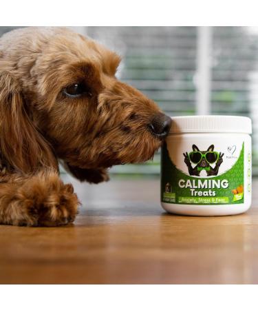 NutriPaw Calming Treats For Dogs - Reduce Stress Fear Separation Anxiety Barking Hyperactivity Reactivity Aggression Travel Issues - Relaxation without Drowsiness dogs Single Pack - Buy Online on GoSupps.com