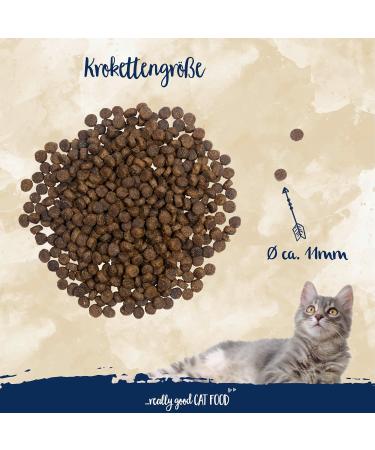 Sanabelle Adult Dry Cat Food - Poultry & Trout | 10kg Bundle | Premium Nutrition for Adult Cats - Buy Online on GoSupps.com