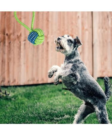 BOMPOW Puppy Teething Toys from 8 Weeks Interactive Dog Rope Toy Natural Cotton Dog Chew Toy 7 Packs  - Buy Online on GoSupps.com