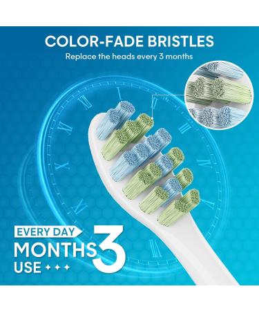 Toothbrush Replacement Heads for 7AM2M AM101/AM105 Electric Toothbrush - 12 Pack Soft Bristles - Buy Online on GoSupps.com