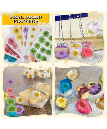 84 Pieces Real Dried Pressed Flowers - Natural Daisy Variety for DIY Crafts & Decorations - 7 Colors - Resin Casting, Jewelry, Candle, Soap Making Supplies - Buy Online on GoSupps.com