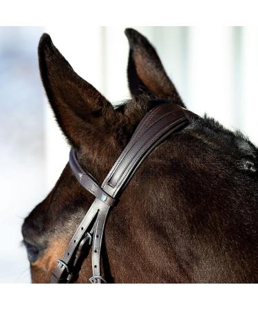 HORZE Prescott Figure 8 Bridle - Brown, Horse Size - Buy Online on GoSupps.com
