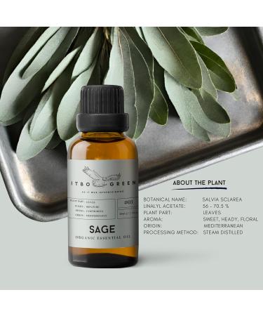 100% Organic Sage Essential Oil - Pure & Natural 30ml | Aromatherapy | Energy Cleanse & Self Care - Buy Online on GoSupps.com
