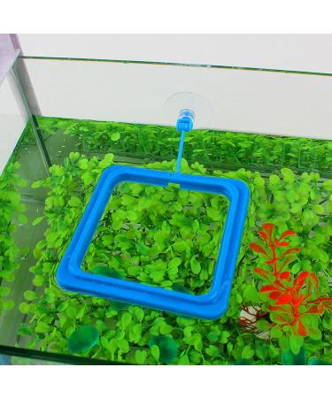 WEAVERBIRD 2PCS Fish Feeding Ring Fish Safe Floating Food Feeder Circle Blue with Suction Cup Easy to Install Aquarium Square and Round Shape for Guppy Betta Goldfish - Buy Online on GoSupps.com
