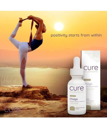 Organic Chaga Tincture for Vitality, Healthy Aging & Healing - 30-60 Servings - Alcohol-Free Extract - CURE MUSHROOMS - Buy Online on GoSupps.com