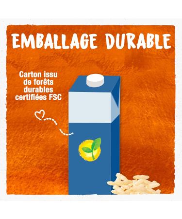 BJORG - Kitchen Rice - Organic Rice Based Culinary Preparation - 100% Vegetable - Low Salt - Smooth Texture - Perfect for Swe - Buy Online on GoSupps.com