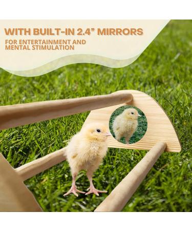 TonGass 16 Extra Long Chicken Perch with Built-in Mirrors - Durable Bamboo Roosting Bar for Baby Chicks - 15 3/4 x 6 5/8 x 3 1/2 - Buy Online on GoSupps.com