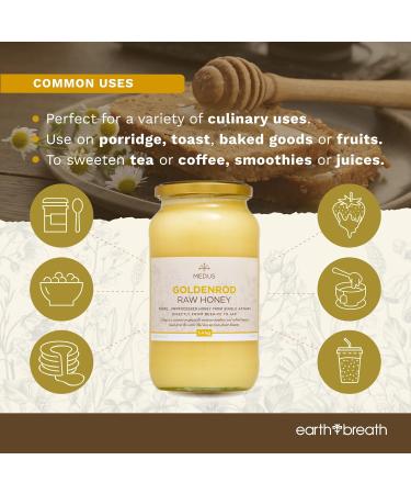Earthbreath Goldenrod Raw Honey - 1.4kg - Pure Honey Unpasteurized Unfiltered Unprocessed - From Single Apiary - Natural Sweetener for Food Cooking Coffee Tea Drinks 1.40 kg (Pack of 1) - Buy Online on GoSupps.com