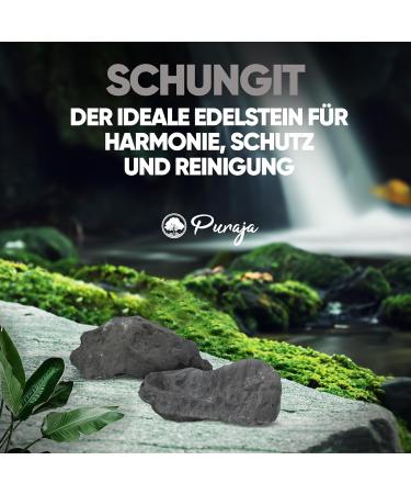 Puraja Schungit Gemstone Set | Natural Premium Raw Stones for Healing Water & Chakra | 350g Versatile Crystal Collection - Buy Online on GoSupps.com