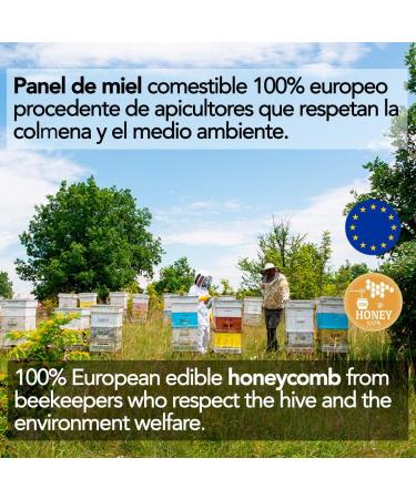 Honeycomb of EU origin -350 g - Flower honey in comb with floral aroma. Bee honey strengthens the defenses has - Buy Online on GoSupps.com