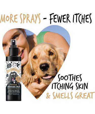 BUGALUGS Oatmeal Dog deodorant deodorising spray with Coconut & Lime scent dog perfume spray with odour neutraliser - vegan dog cologne dog grooming odour eliminator use with oatmeal shampoo Spray 200ml - Buy Online on GoSupps.com