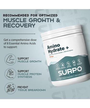 Sugar Free Electrolytes with EAA Powder | Hydrating BCAA & Essential Amino Acids for Muscle Growth | Pre & Post Workout Orange Flavor - Buy Online on GoSupps.com
