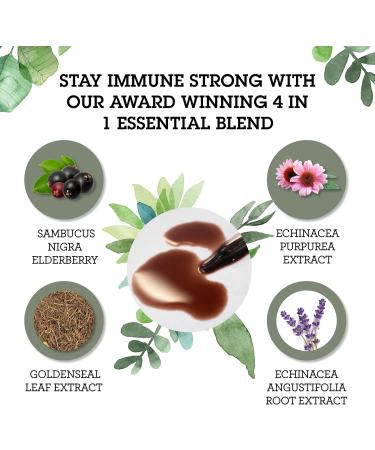 Quantum Health Immune Support Elderberry Echinacea Goldenseal Liquid Extract - Daily Wellness Herbal Immunity Formula for Women & Men - High Dose Fast Absorption Tincture - 2 Fl Oz - Buy Online on GoSupps.com