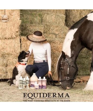 EQUIDERMA Horse Skin Lotion 16 oz | All-in-One Equine Skin Care for Cannon Bone Scurf, Mane & Tail Itching, Midline Irritation, Dry Patches & Coat Health Support - Buy Online on GoSupps.com