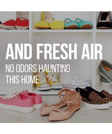 PEET Original 2-Shoe & Boot Dryer with Sanitizer & Deodorizer - Fast Drying Solution - Buy Online on GoSupps.com