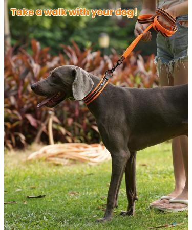 PETTOM Adjustable Nylon Dog Collar - Breathable & Reflective XS Orange | International Shipping - Buy Online on GoSupps.com