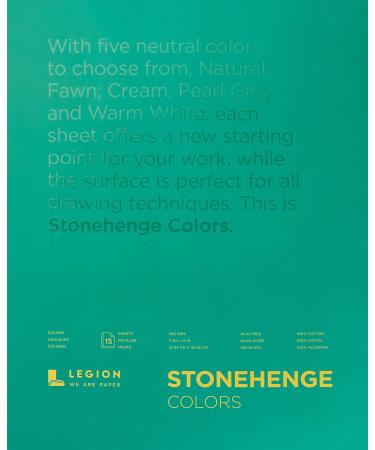 Legion Stonehenge Multicolor Pad  11 X 14 inches  15 Sheets