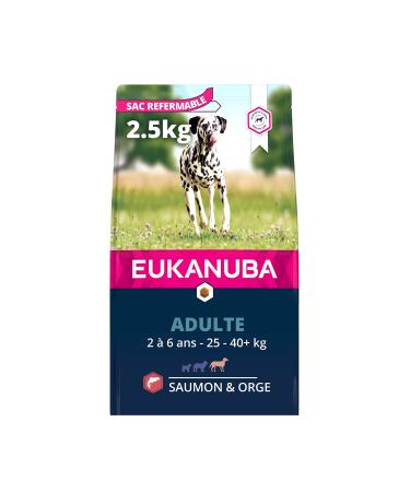 Eukanuba Adult Dog Dry Food For Large Breed Salmon & Barley 2.5kg