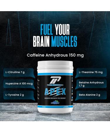 Primal Performance Apex Energy & Focus Pre-Workout Powder Nootropic Brain Support for Men & Women with L-Citrulline Alpha-GPC L-Tyrosine Beta Alanine Clean Energy - Muscle Pump - Buy Online on GoSupps.com