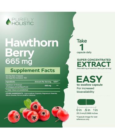 Purely Holistic Grape Seed Extract 400mg + Hawthorn Berry 665mg Bundle - 400 Vegan Capsules - Made in USA - Buy Online on GoSupps.com
