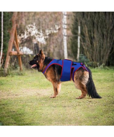 Small Dog Back Brace Spinal Support | Pet Support and Rehab Harness Soft Hip Leg Support D-Ring and Reflective Strips Back Protector Support Helps Hurt Relief Dogs Back - Buy Online on GoSupps.com