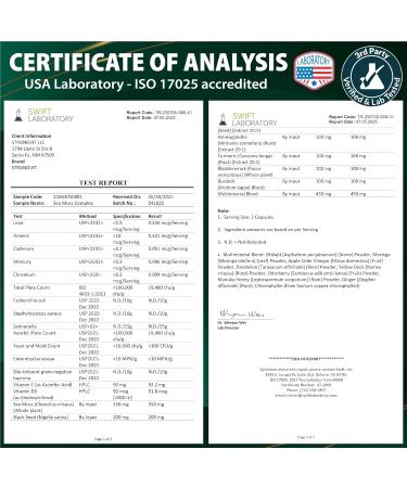 Sea Moss Black Seed Oil Ashwagandha Ginger Organic Sea Moss Capsules with Burdock Root Irish Seamoss Pills with Bladderwrack Turmeric Shilajit Multimineral Supplement USA (120 Capsules) 120 Count (Pack of 1) - Buy Online on GoSupps.com