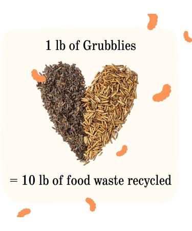 Grubblies Natural Grubs for Chickens - High Calcium Black Soldier Fly Larvae Supplement for Healthy Hens - Buy Online on GoSupps.com