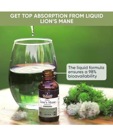 Lion's Mane Mushroom Liquid Drops - Organic Immune System & Brain Booster - Non-GMO VEGAN Tincture | 1 oz - Buy Online on GoSupps.com